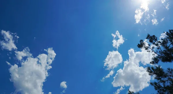 Blauwe Lucht Achter Dennentakken Witte Wolken Lucht — Stockfoto