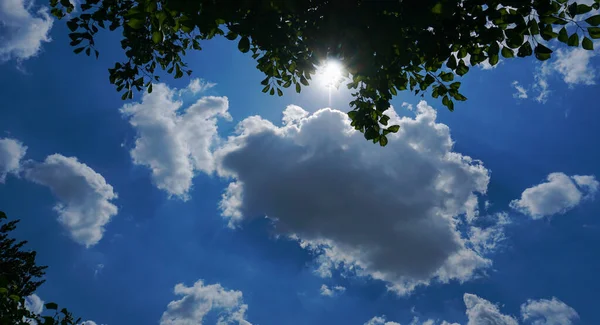Słońce Świeci Zza Gałęzi Drzew Niebie Białe Chmury — Zdjęcie stockowe