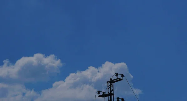 blue sky behind a bird sitting on an iron pole