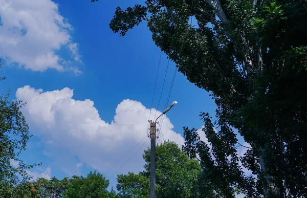 Lampa Uliczna Między Drzewami Białe Chmury Niebie — Zdjęcie stockowe