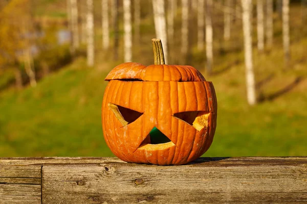 Halloween carved pumpkin with blurred landscape on the background.