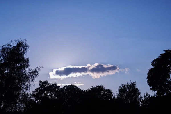 Sol Atrás Nuvem Pôr Sol Silhuetas Árvores Primeiro Plano — Fotografia de Stock