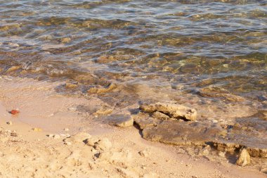 Kızıl denizin tropikal kumlu sahillerinde dalgalar.