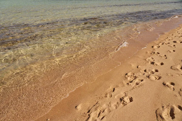 Traces on the sand of the tropical beach of the Red Sea. — Stockfoto