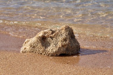 Mısır 'daki Kızıl Deniz kıyısındaki taşlar