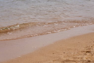 Kızıl denizin tropikal kumlu sahillerinde dalgalar