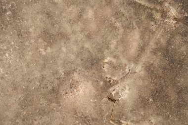 Donmuş bir su birikintisinin buzlu yüzeyi doğal bir zemin gibidir..