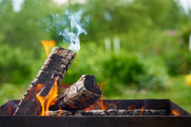 Logs burning in the barbecue mongal.