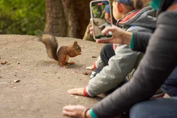 Children Adults Feed Squirrel Nuts — Stock Photo, Image
