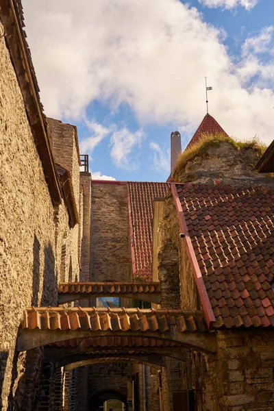 Anciennes Rues Médiévales Dans Vieille Ville Tallinn Estonie — Photo