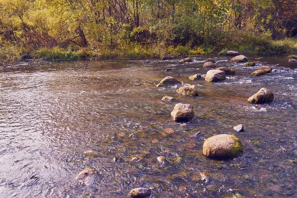 Fiume Montagna Veloce Montagna Autunno — Foto Stock