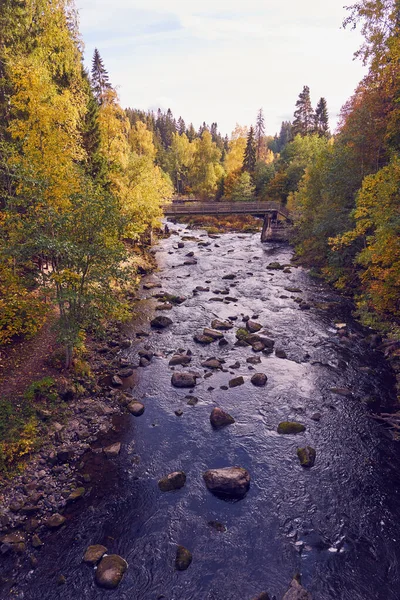 Ein Schneller Gebirgsfluss Den Bergen Herbst — Stockfoto
