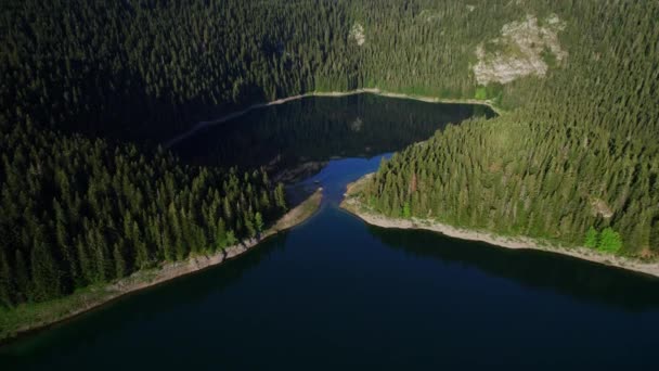 Jezioro Lodowcowe Pod Szczytem Góry Otoczone Zielonym Lasem Iglastym Wystrzelonym Klip Wideo
