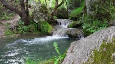 Şelaleli bir dağ deresinin havadan görünüşü ve etrafını yosun tutmuş bitki ve kayalardan oluşan pitoresk bir ortam.