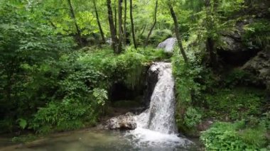 Şelaleli bir dağ deresinin havadan görünüşü ve etrafını yosun tutmuş bitki ve kayalardan oluşan pitoresk bir ortam.