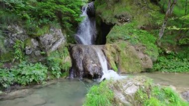 Şelaleli bir dağ deresinin havadan görünüşü ve etrafını yosun tutmuş bitki ve kayalardan oluşan pitoresk bir ortam.