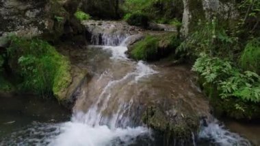 Şelaleli bir dağ deresinin havadan görünüşü ve etrafını yosun tutmuş bitki ve kayalardan oluşan pitoresk bir ortam.