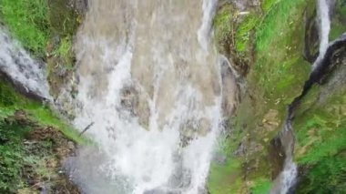 Şelaleli bir dağ deresinin havadan görünüşü ve etrafını yosun tutmuş bitki ve kayalardan oluşan pitoresk bir ortam.