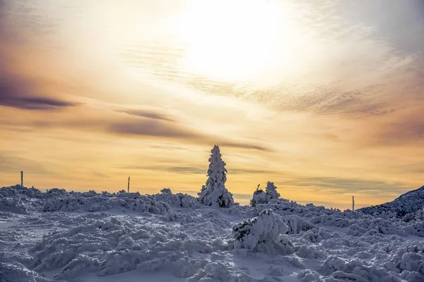 Isrike Mitt Solnedgången Kallt Vinterväder — Stockfoto