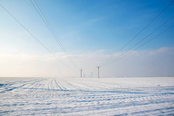 Elektromos Rudak Télen Szabadban Téli Táj Elektromos Vezetékek Hóban Jogdíjmentes Stock Képek