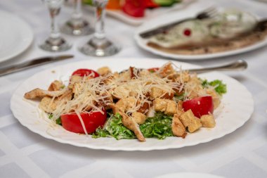 Tavuk fileto ve parmesan peynirli Sezar salatası. Tavuk, salatalık ve beyaz tabakta parmesan peynirli nefis iştah açıcı taze salata. Yukarıdan bak. Yatay olarak.