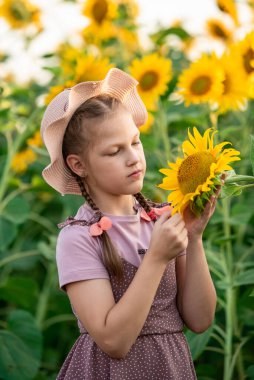 Bir ayçiçeği tarlasının arka planında örgülü saçları olan neşeli bir kız. Gün batımında portre. Sahadaki kız.