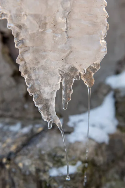 Sciogliere Ghiacciolo Con Gocce Disgelo Primaverile Fine Inverno Inizio Stagione — Foto Stock