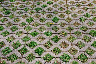Yerleşik döşeme levhaları. Çimenler kaldırım kiremitlerinde büyüyor. Yukarıdan bak. Döşeme çizimi. Şehrin semti. Soyut geometrik doku.