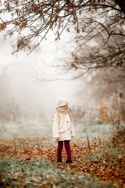 Κοριτσάκι Ανάμεσα Στα Φθινοπωρινά Δάση Μια Ομιχλώδη Φθινοπωρινή Μέρα Μονοπάτι — Φωτογραφία Αρχείου