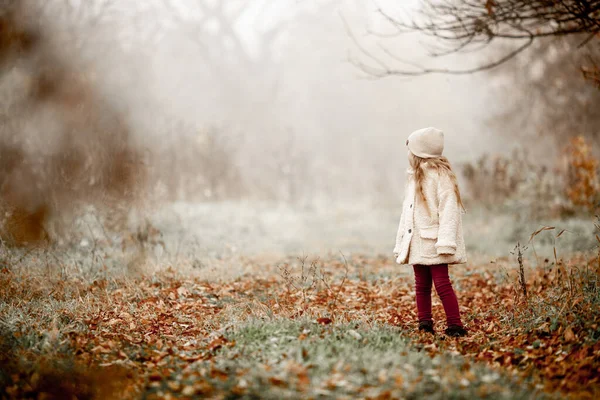 Liten Flicka Ser Tillbaka Bland Höstskogen Dimmig Höstdag Vandringsled Mörk — Stockfoto