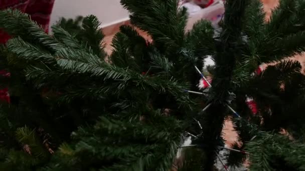 Μη αναγνωρίσιμη γυναίκα που συναρμολογεί ένα τεχνητό χριστουγεννιάτικο δέντρο — Αρχείο Βίντεο