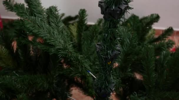 Mujer irreconocible armando un árbol de Navidad artificial — Vídeo de stock