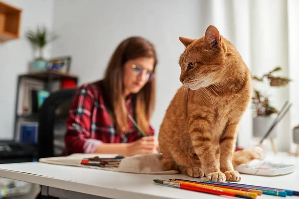 Młoda kobieta pracuje w domu z kotem na biurku — Zdjęcie stockowe