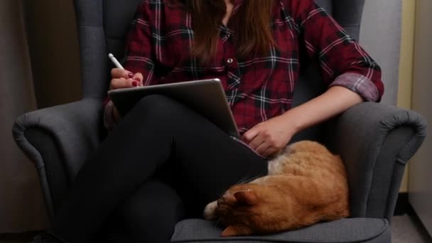 Nő festmény digitálisan táblagéppel a kanapén mellett macskája — Stock videók