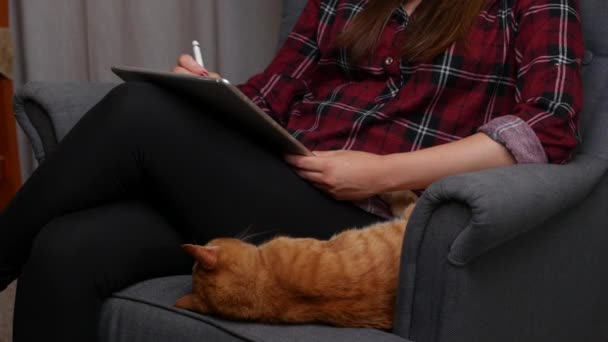 Frau malt digital mit Tablet auf dem Sofa neben ihrer Katze — Stockvideo