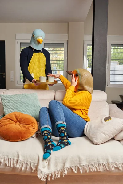 A husband serves coffee to his wife disguised with bird masks — Stock Photo, Image