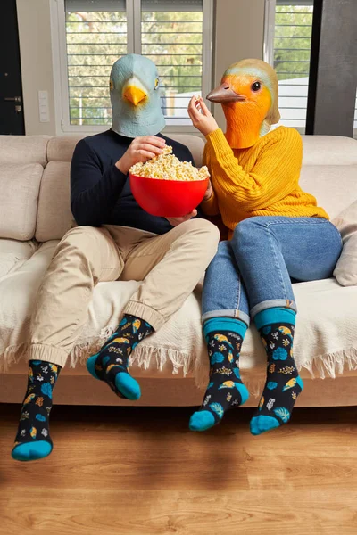 A couple with bird masks watching a movie on the sofa — Stock Photo, Image
