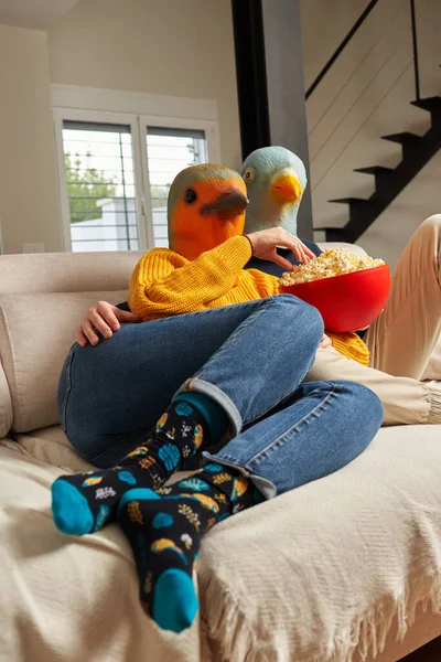 A couple with bird masks watching a movie on the sofa — Stock Photo, Image