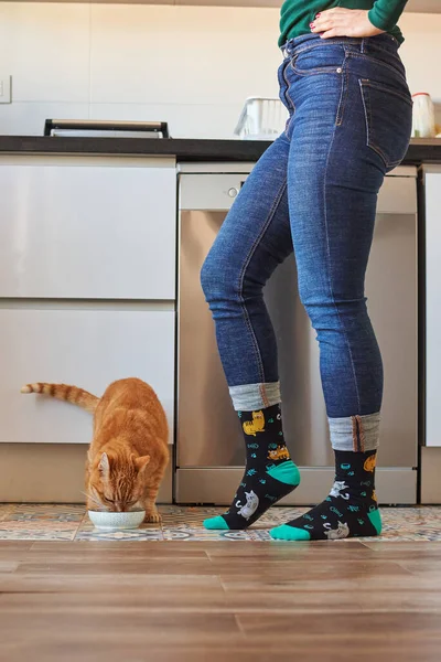 Nierozpoznana kobieta karmi kota w skarpetkach — Zdjęcie stockowe