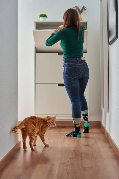 Unrecognizable woman at home with her cat — Stock Photo, Image