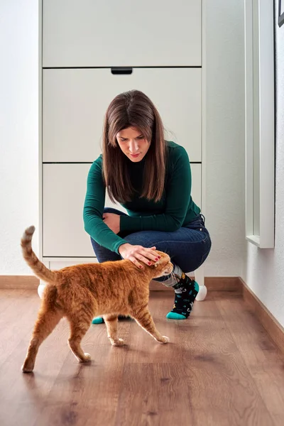 Kobieta głaskająca kota w domu — Zdjęcie stockowe
