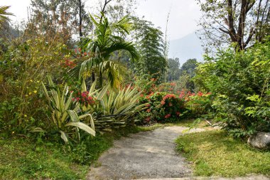 Yeşil çimenli ambiyansı olan güzel yollar