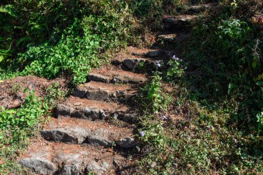 Yeşil çimen manzaralı tepede taş basamaklar ve merdivenler.. .