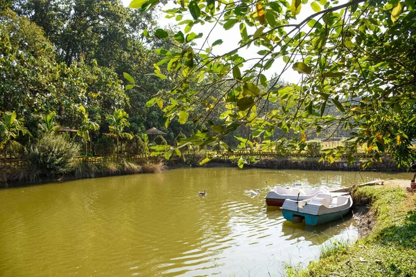 Belo Lago Verde Com Barcos Floresta Verde — Fotografia de Stock