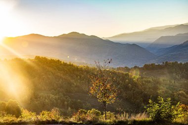 Orman ve dağların panoramik manzarası. Yaz manzarası. Gün doğumunda sisli tepeler.