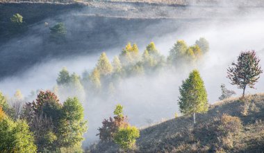 Sonbaharda yeşillik - Dağlarda yürüyüş. Ormanda sis, yukarıdan manzara, panorama doğa.