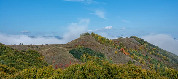 Liście Jesienią Spacer Górach Mgła Lesie Widok Góry Panorama Przyrody — Zdjęcie stockowe