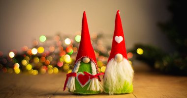 Noel yaklaşıyor - Şirin küçük kış cücesi Noel 'i bekliyor.