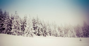 Dağdaki sisli kış manzarasının manzarası.