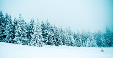 Dağdaki sisli kış manzarasının manzarası.